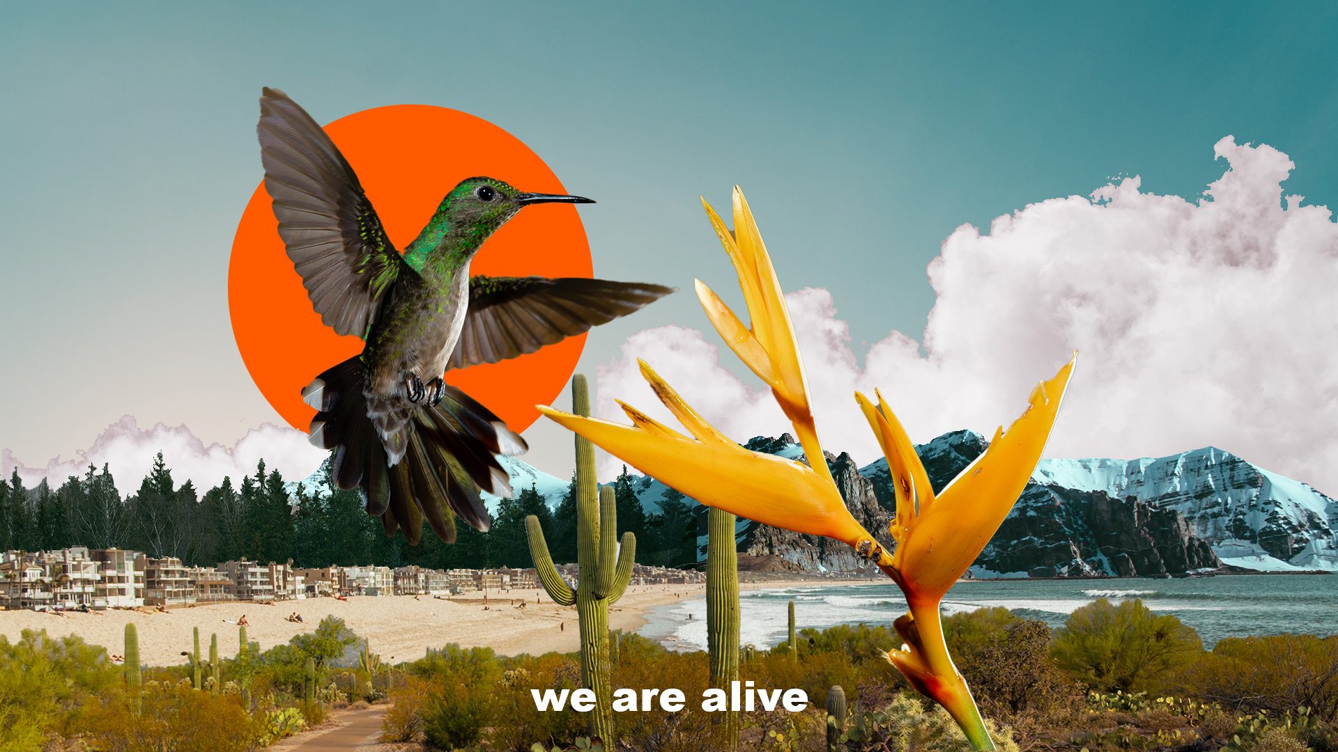 we are alive